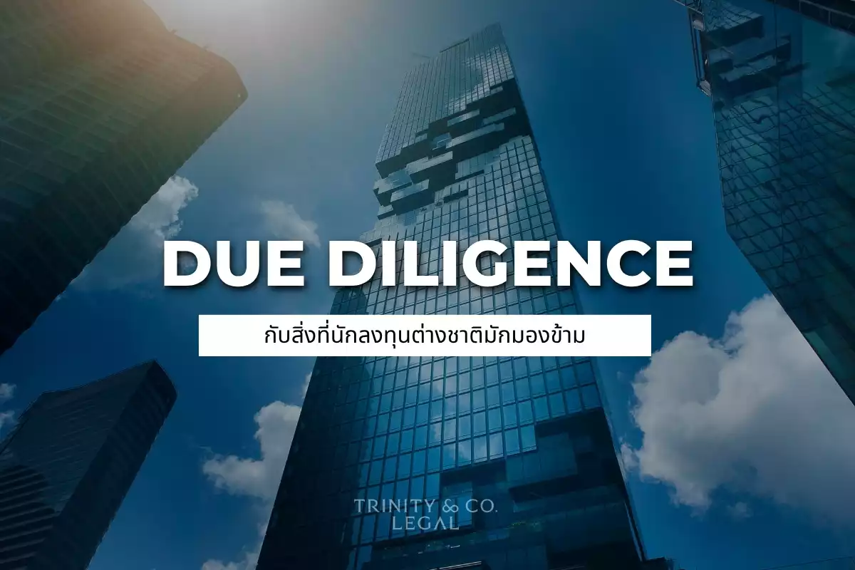 Due Diligence TH